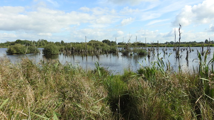 Nationaal Park De Alde Feanen